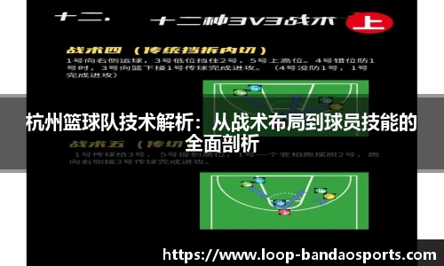 半岛体育官方网站